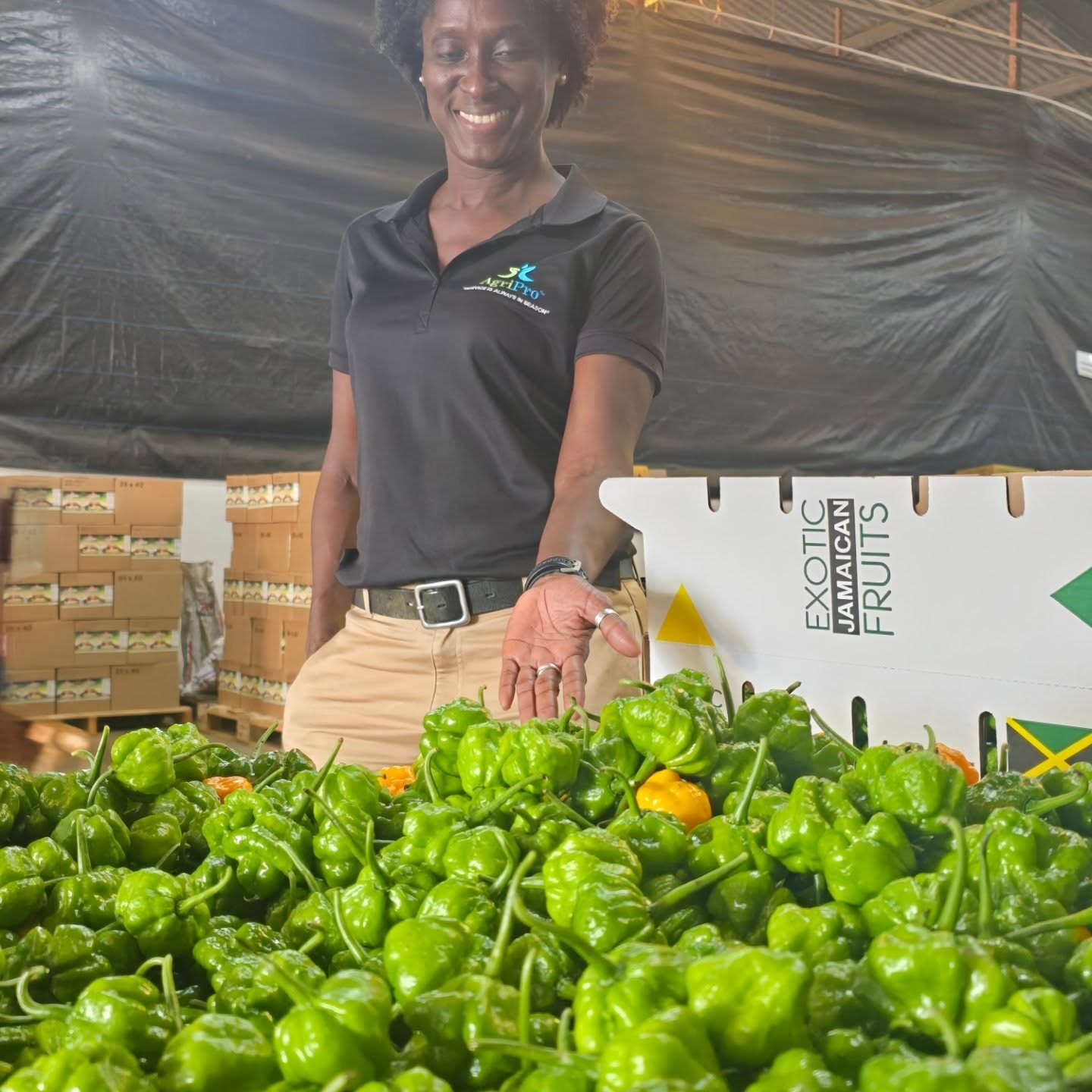 An AgriPro&trade; team member standing behind fresh Scotch Bonnet peppers